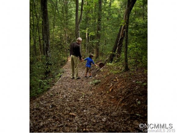 12 Stills Creek Loop - Photo 2