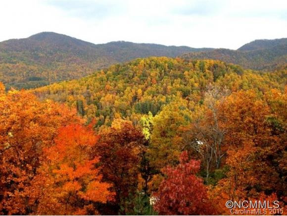 321 Mountain Laurel - Photo 2