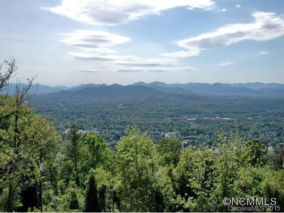 647 Town Mountain Road #406 - Photo 9