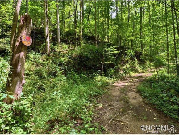 412 FLAT CREEK Road - Photo 8