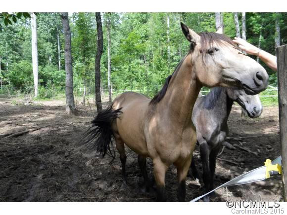 321 CHAD CRAWFORD RD - Photo 24