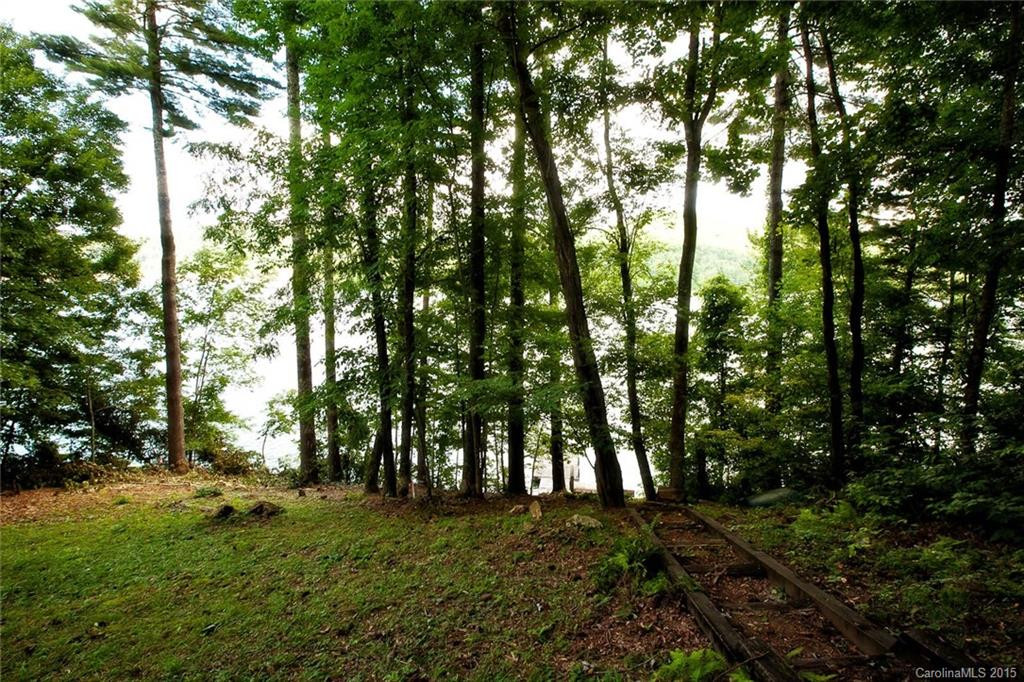 256 Woods Mountain Trail - Photo 4