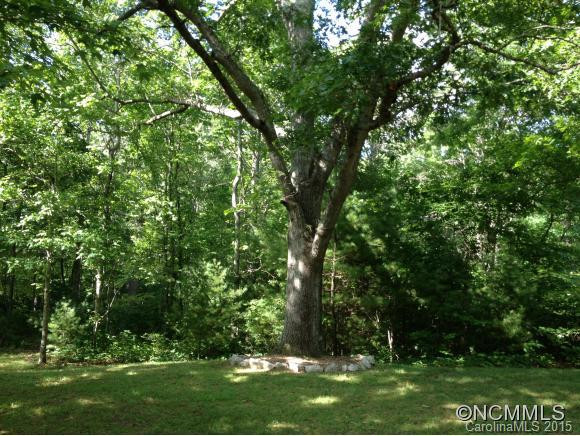 33 Reed's Creek Road - Photo 8