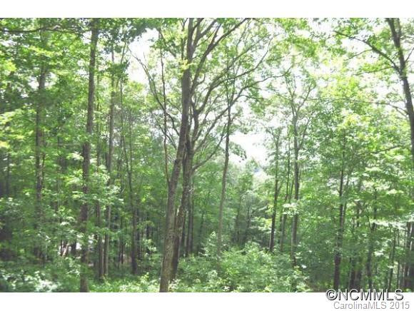 792 McDaris Loop Drive - Photo 6