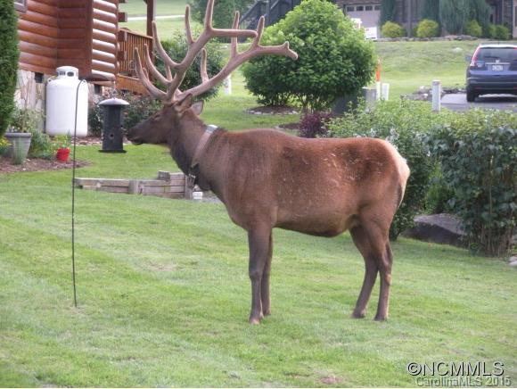 39 Destiny Trail - Photo 21