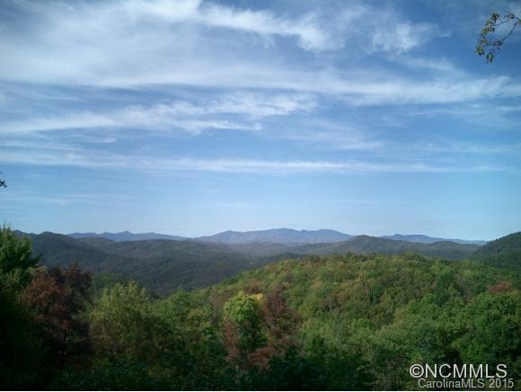 275 Old Bald Mountain Road - Photo 2