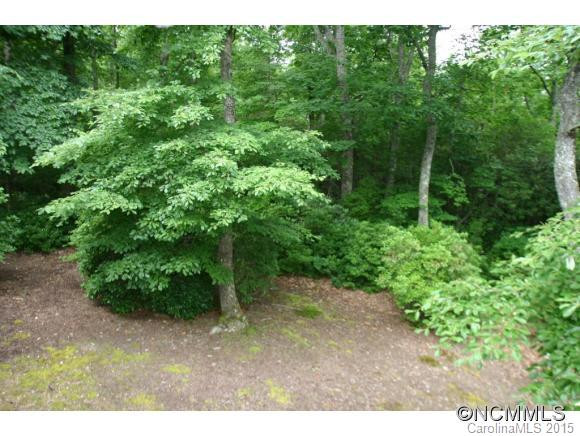 275 Old Bald Mountain Road - Photo 22
