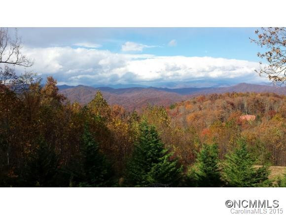 275 Old Bald Mountain Road - Photo 4