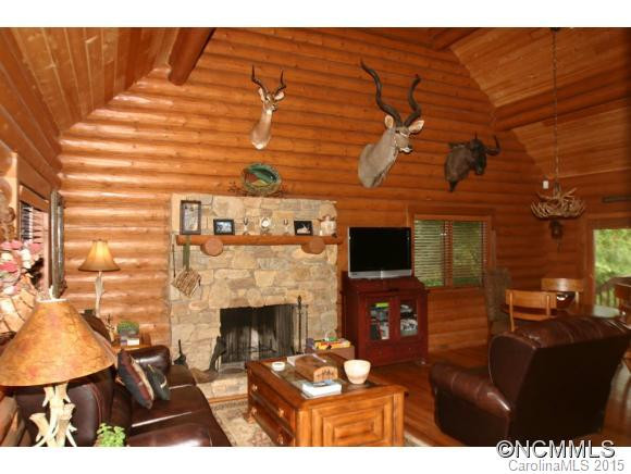 275 Old Bald Mountain Road - Photo 8