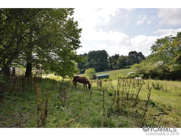 85 Mount Carmel - Photo 3