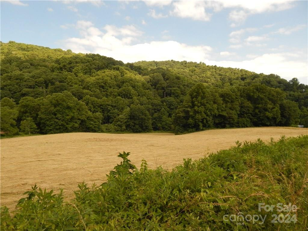 00 HWY. 209 Highway - Photo 23