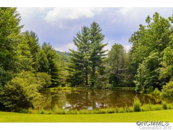 23 Tanbark Meadow Lane - Photo 21