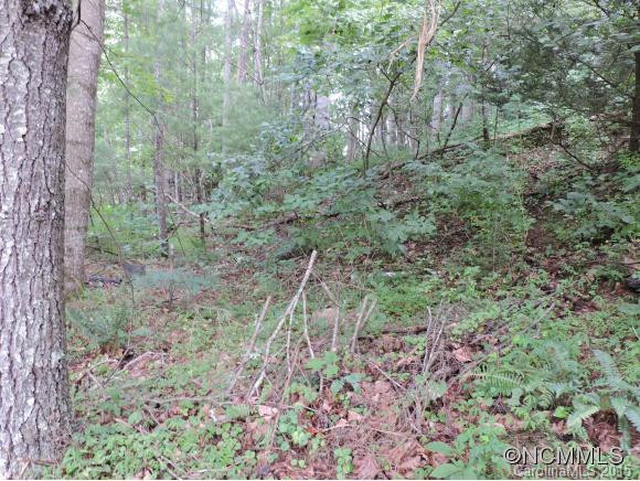 339 Bald Mountain rd - Photo 23