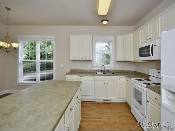 101 CAROLINA BLUE BIRD LOOP - Photo 8
