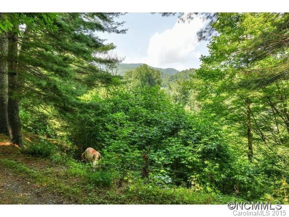 75 Mountain View Road - Photo 17