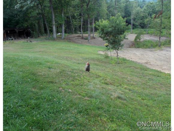 3046 Willow Road - Photo 4