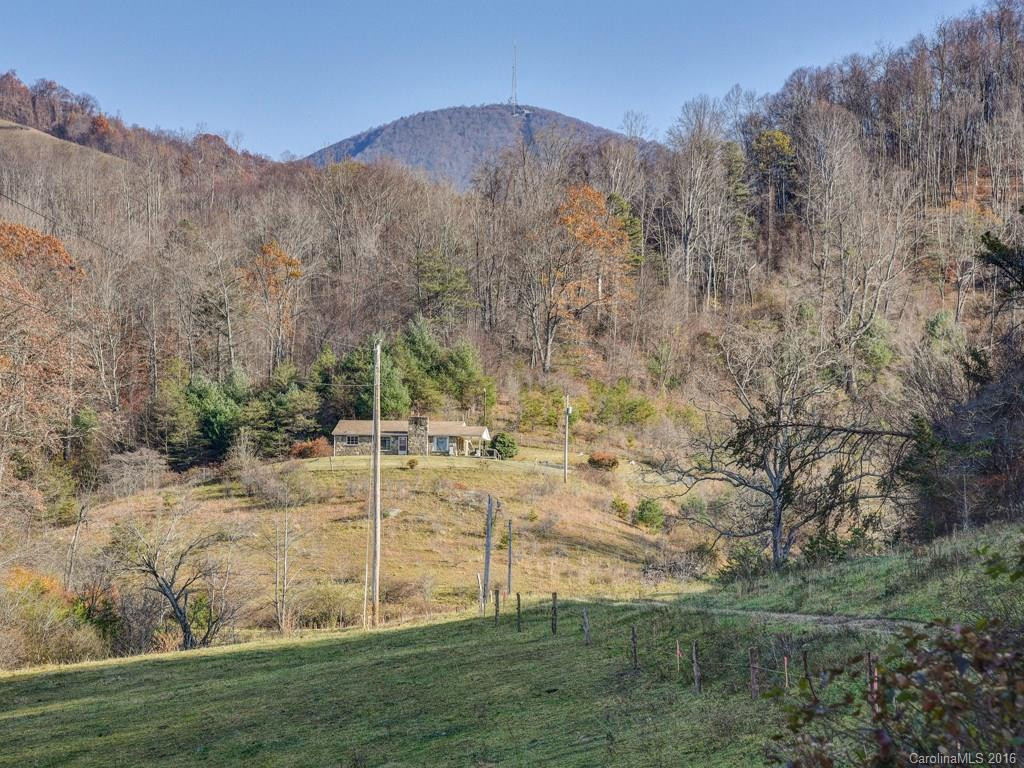 665 COGBURN COVE RD