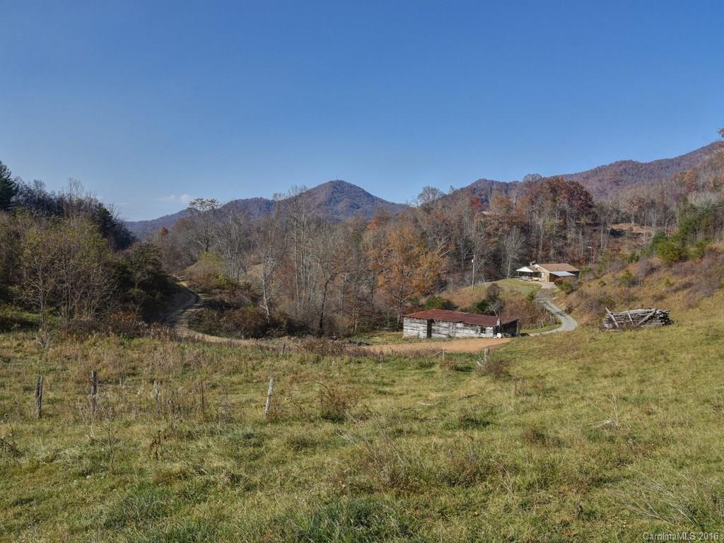 665 COGBURN COVE RD - Photo 2