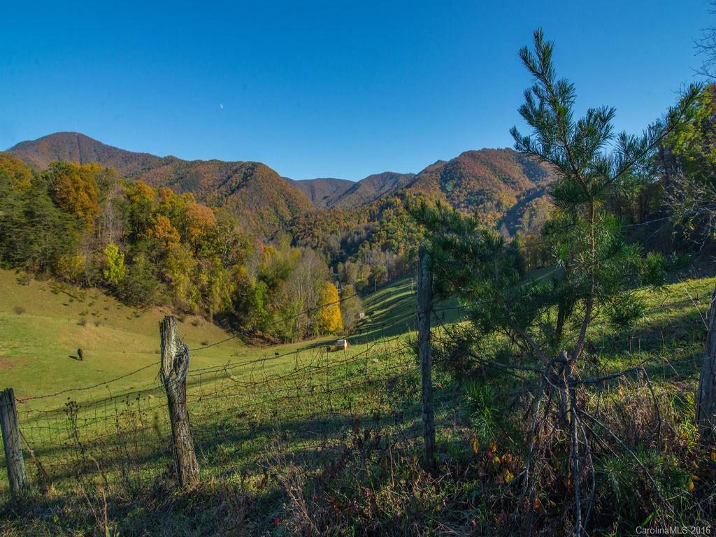 665 COGBURN COVE RD - Photo 11
