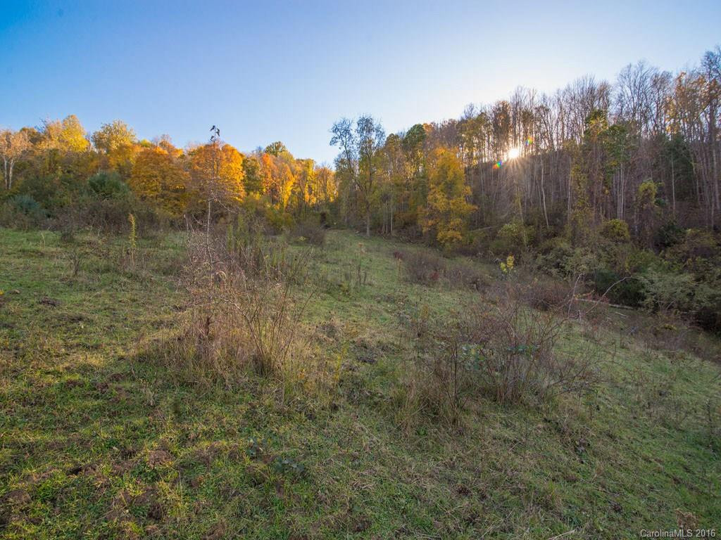 665 COGBURN COVE RD - Photo 12