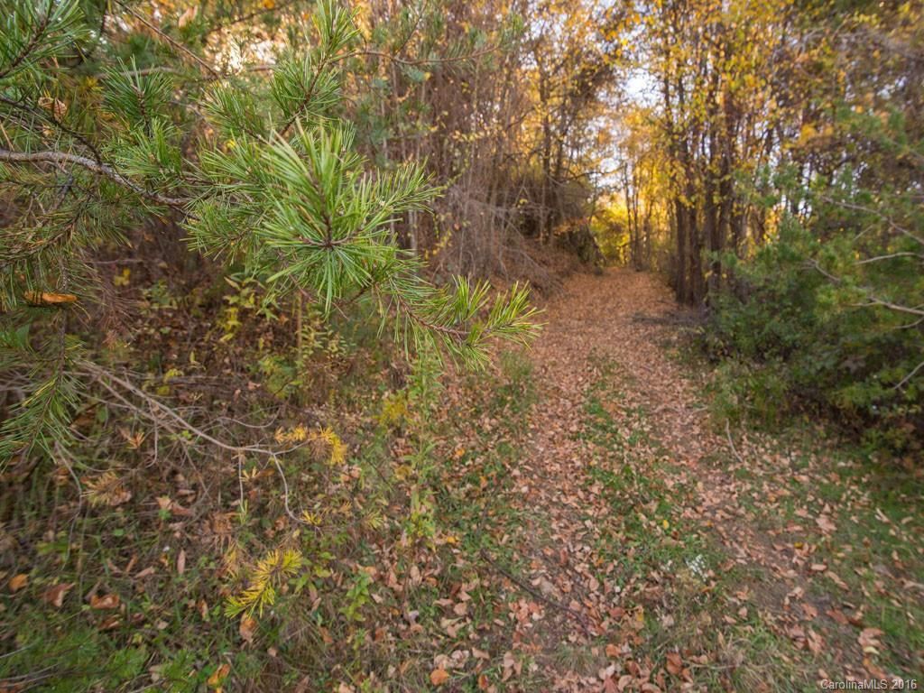 665 COGBURN COVE RD - Photo 15