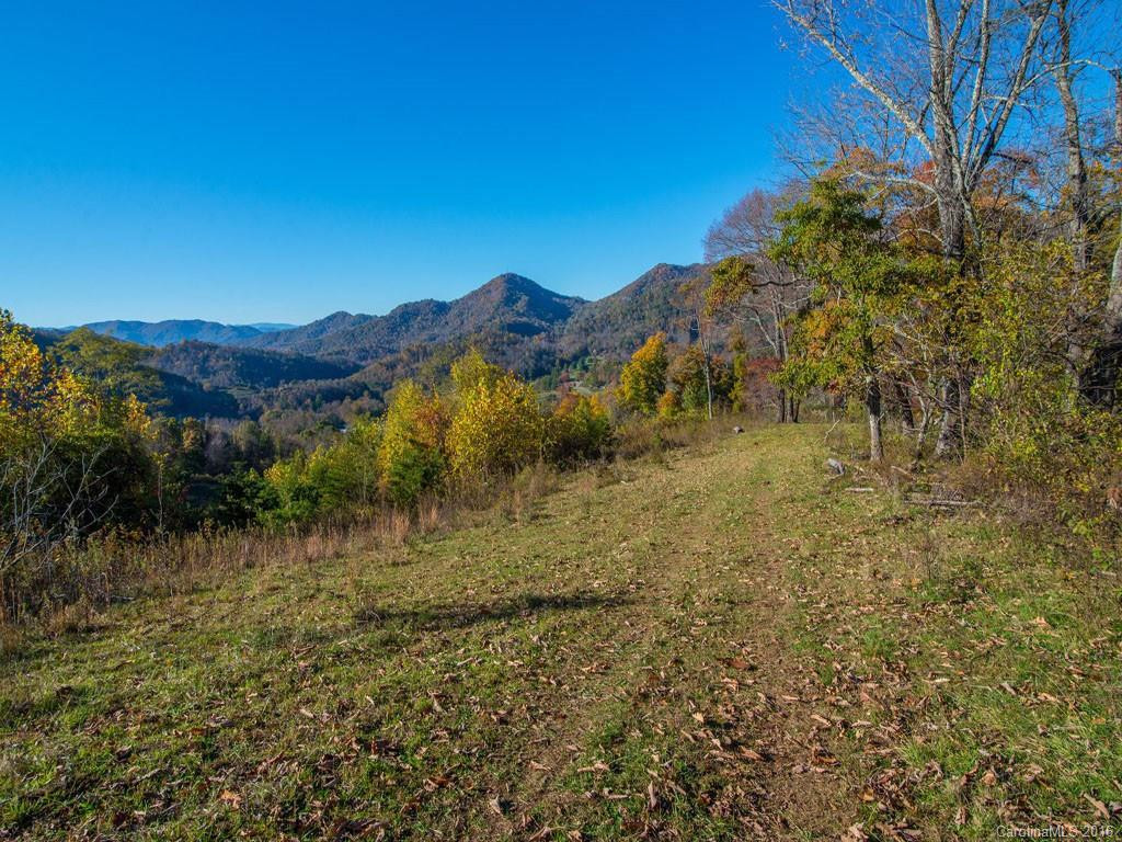 665 COGBURN COVE RD - Photo 16