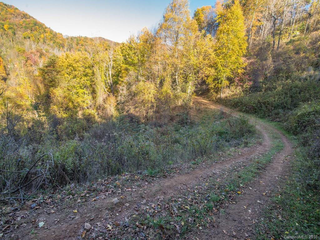 665 COGBURN COVE RD - Photo 18