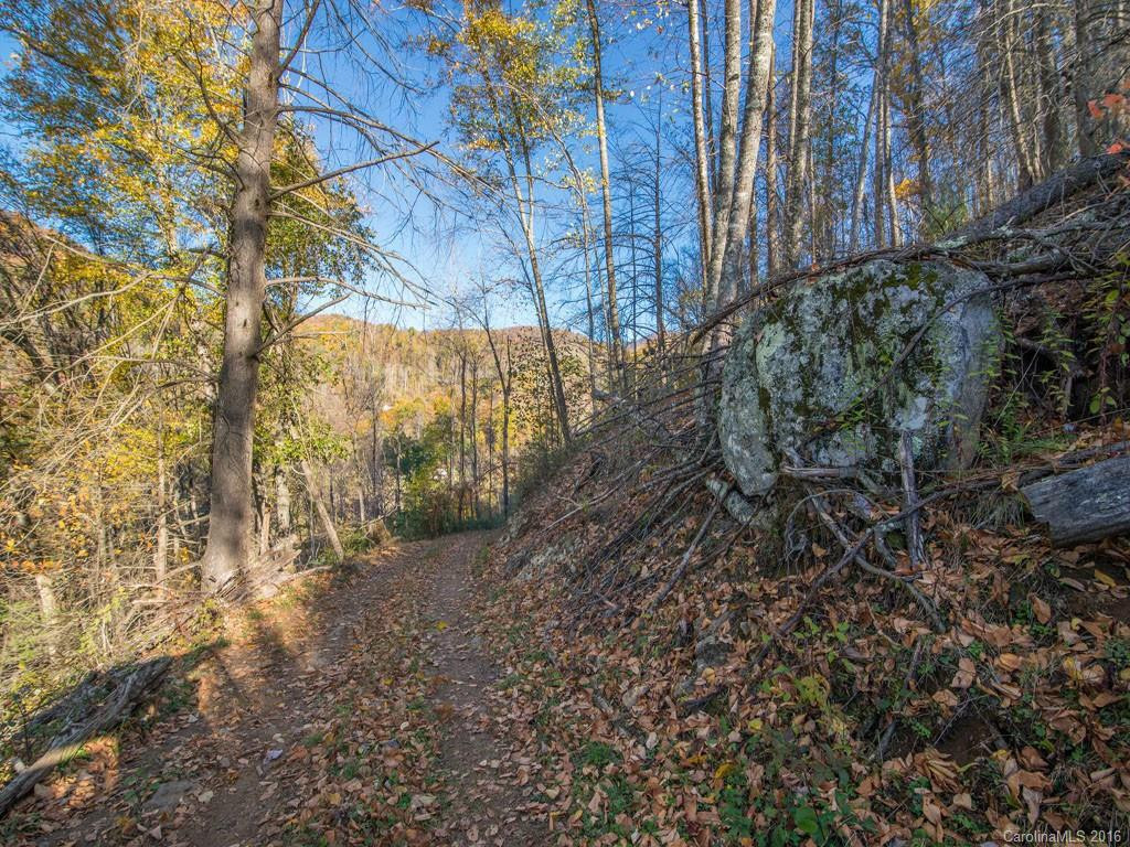 665 COGBURN COVE RD - Photo 19