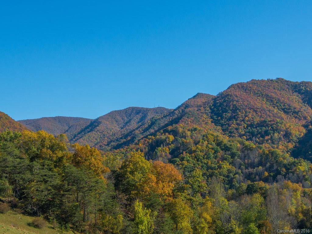 665 COGBURN COVE RD - Photo 3