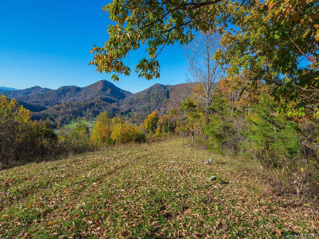 665 COGBURN COVE RD - Photo 4