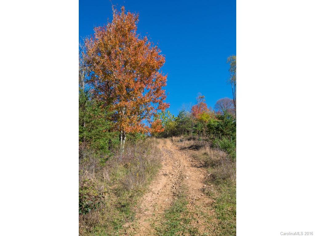 665 COGBURN COVE RD - Photo 10