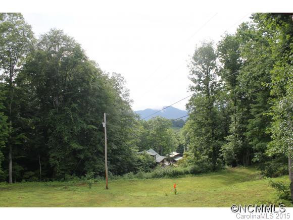 100 Chatter Box Lane - Photo 3