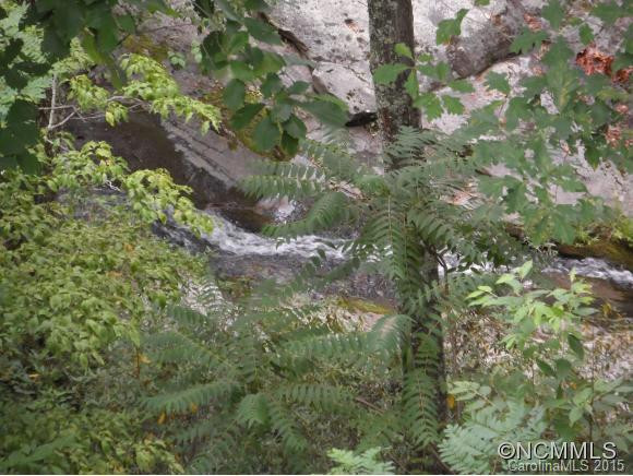 131 Falls View Trail - Photo 11
