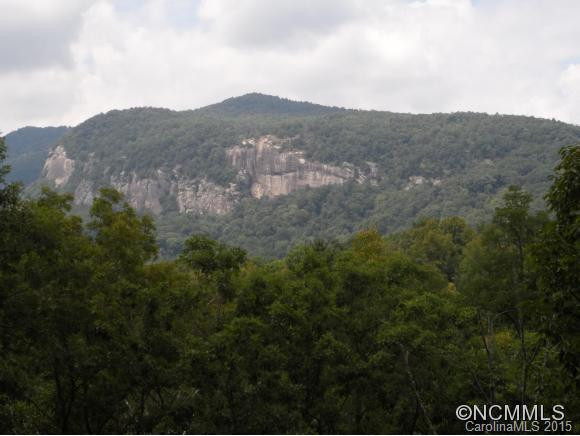 131 Falls View Trail - Photo 12