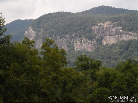 131 Falls View Trail - Photo 13