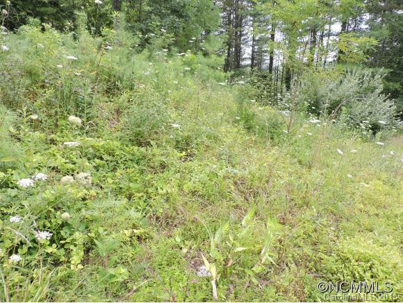 405 Woodby Road - Photo 24