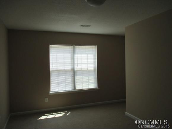 153 ALPINE RIDGE DRIVE - Photo 10