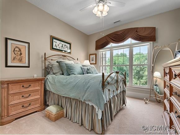 12 BLENHEIM COURT - Photo 10