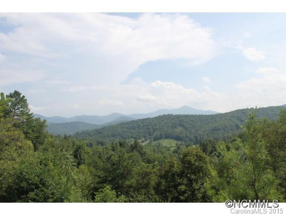 74 Lemon Creek Drive - Photo 2