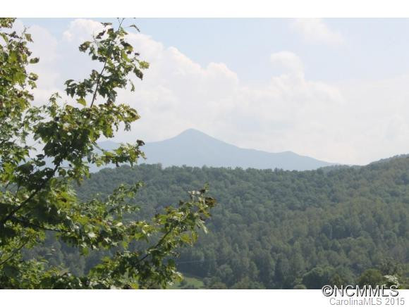 74 Lemon Creek Drive - Photo 3