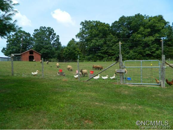 155 Old Clear Creek Road - Photo 23