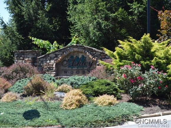 339 Scarlet Tanager Court - Photo 21
