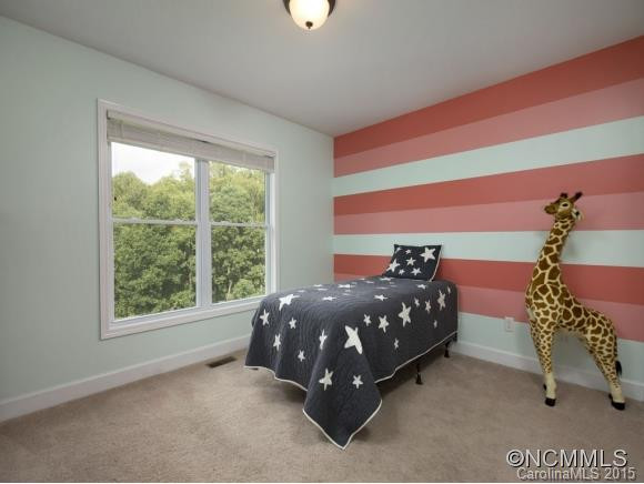 339 Scarlet Tanager Court - Photo 8
