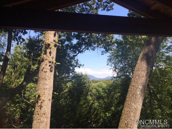 278 Brevard Road - Photo 24