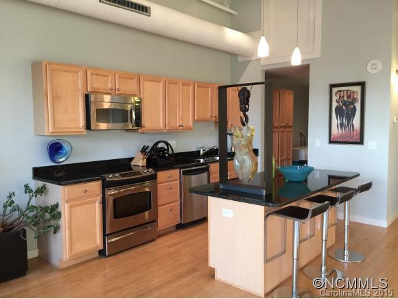 12 South Lexington Ave Unit #307 - Photo 4