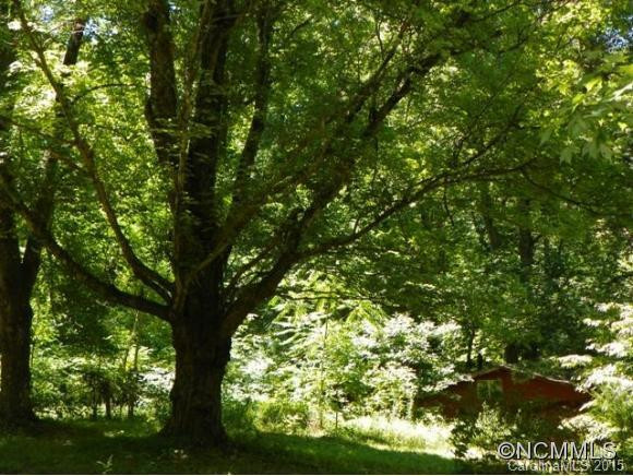 65 Ballard Branch Road - Photo 16
