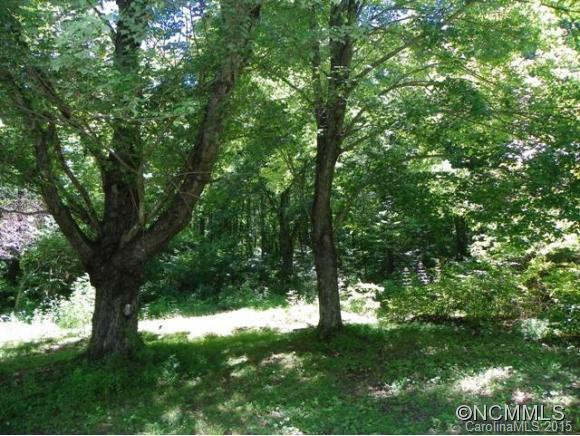 65 Ballard Branch Road - Photo 3