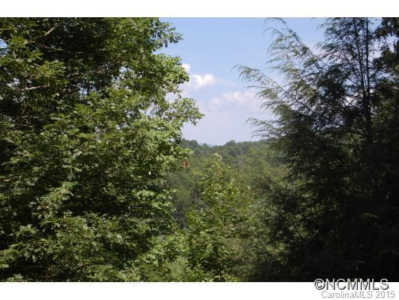400 Chestnut Cove Drive - Photo 3