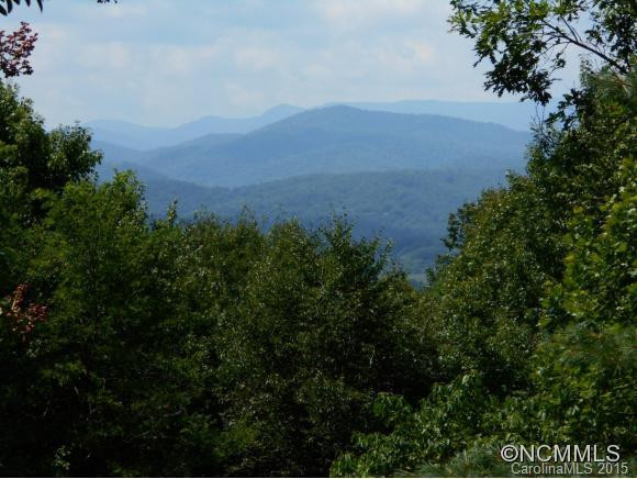 1360 Glen Cannon Drive - Photo 2