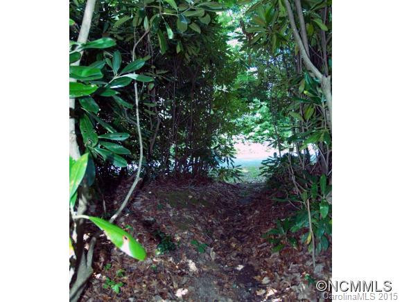 208 Wolf Ridge Road - Photo 23